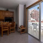 Floritas 4